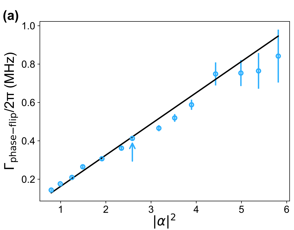 Linear increase of the phase-flip rate with the cat size.|400